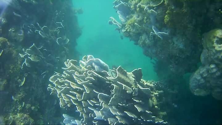 Coco Cabana Romblon Agpanabat Dış mekan fotoğraf