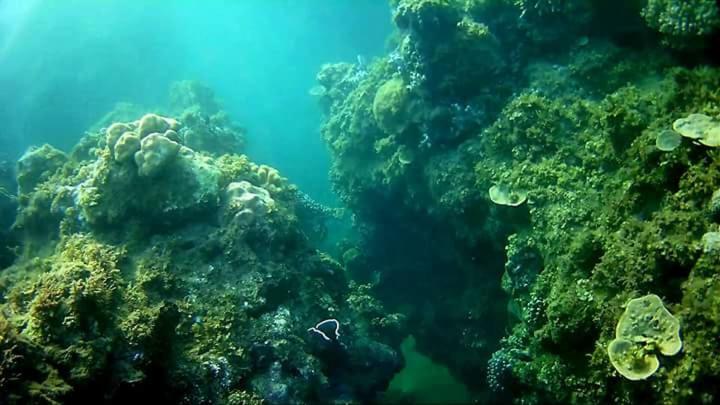 Coco Cabana Romblon Agpanabat Dış mekan fotoğraf