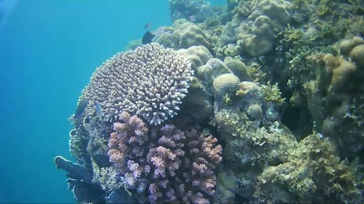 Coco Cabana Romblon Agpanabat Dış mekan fotoğraf